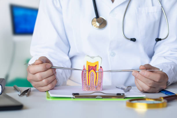 Best Dentist for Dental Trauma  in Fairfield Plantation, GA